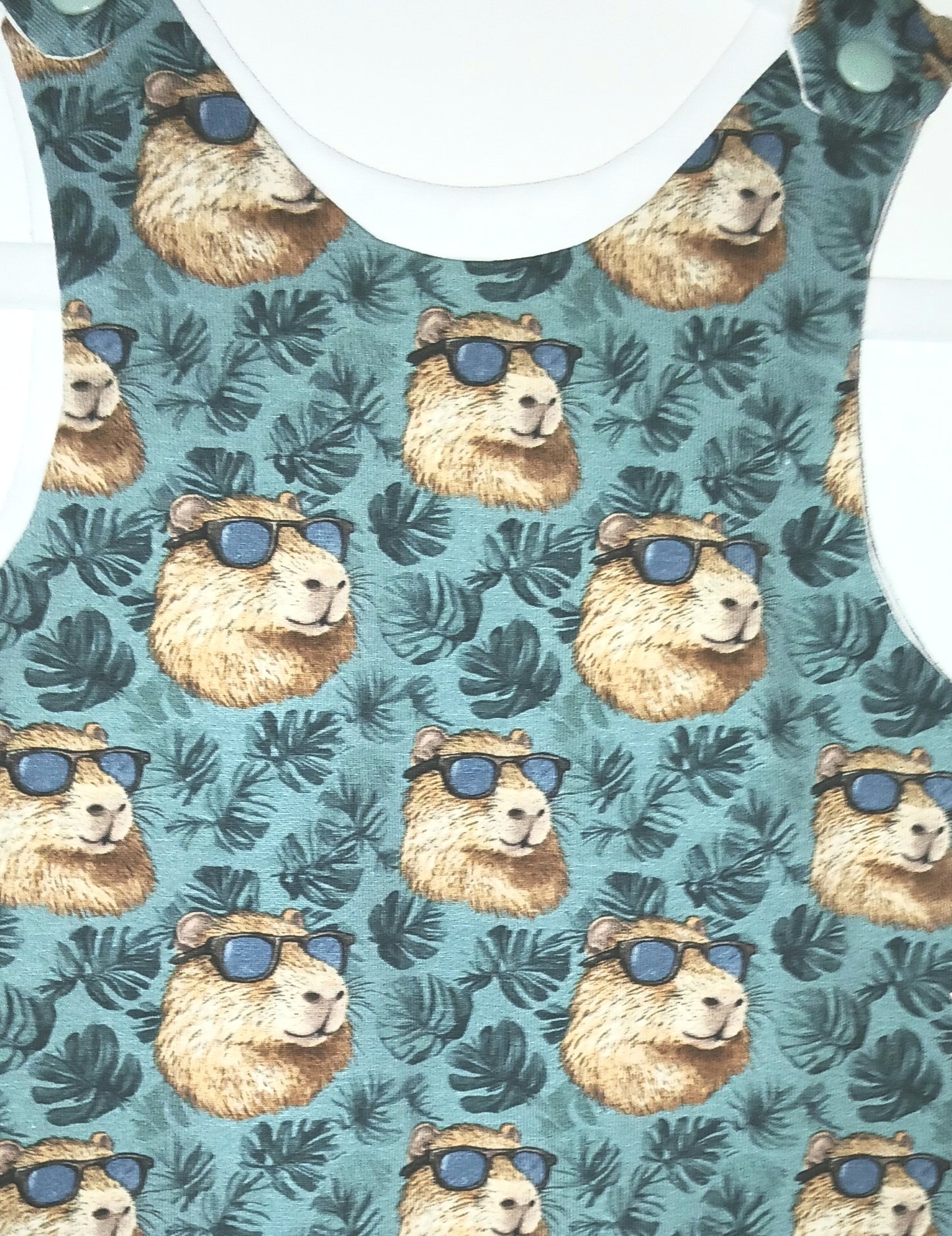 Capybara cool dude