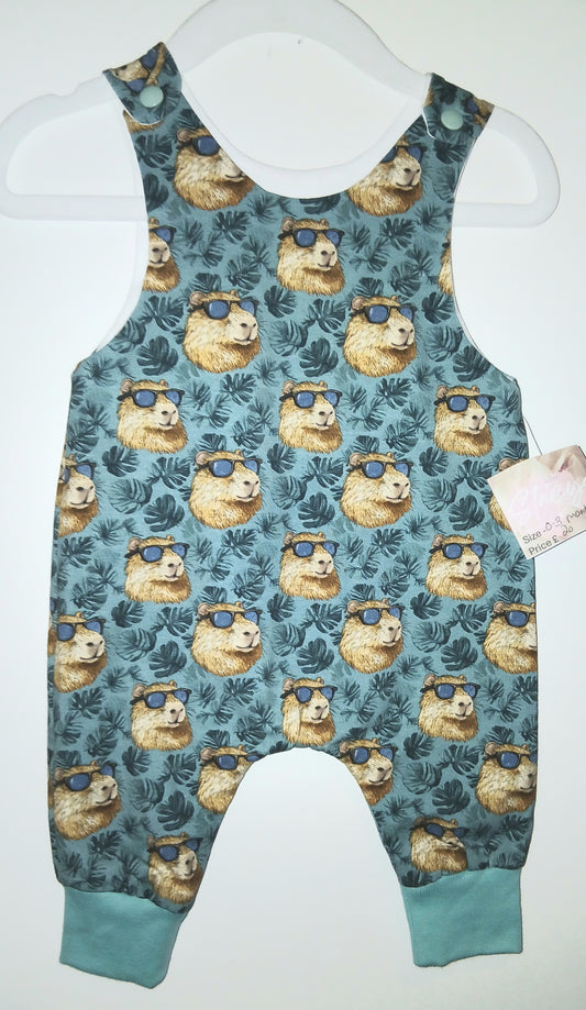 Capybara cool dude