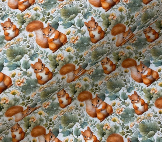 Squirrel romper
